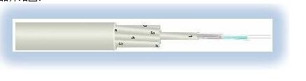 g22()-оϲ