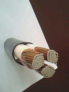 恒峰g22(国际)官网入口-天天有惊喜