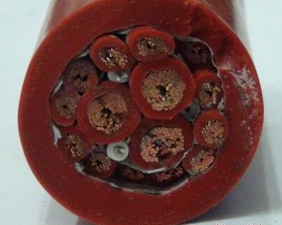 恒峰g22(国际)官网入口-天天有惊喜