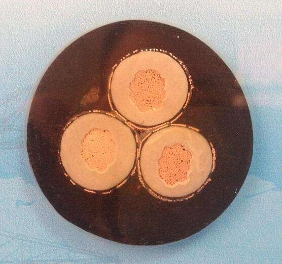 恒峰g22(国际)官网入口-天天有惊喜