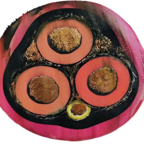 恒峰g22(国际)官网入口-天天有惊喜