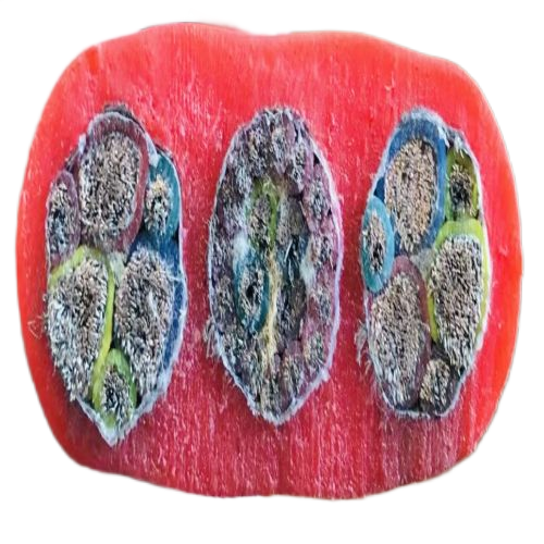 恒峰g22(国际)官网入口-天天有惊喜