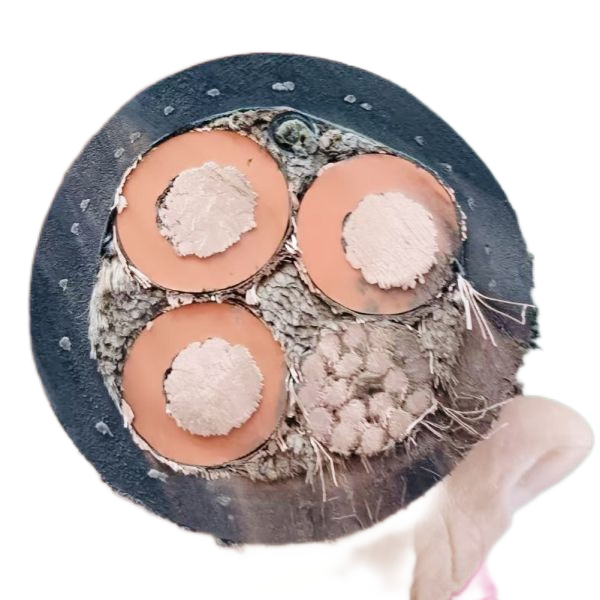 恒峰g22(国际)官网入口-天天有惊喜