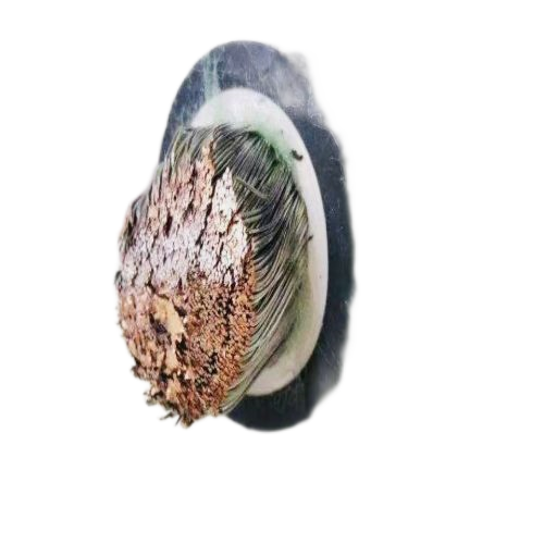 恒峰g22(国际)官网入口-天天有惊喜