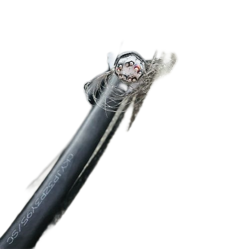 恒峰g22(国际)官网入口-天天有惊喜