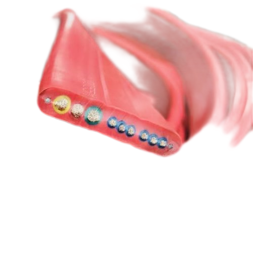 恒峰g22(国际)官网入口-天天有惊喜