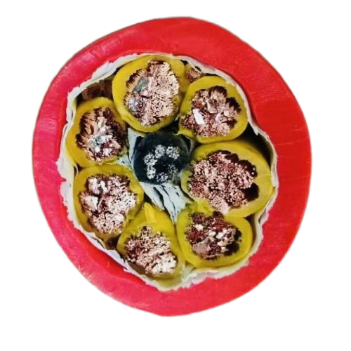 恒峰g22(国际)官网入口-天天有惊喜