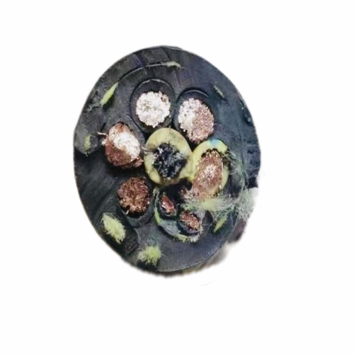 恒峰g22(国际)官网入口-天天有惊喜