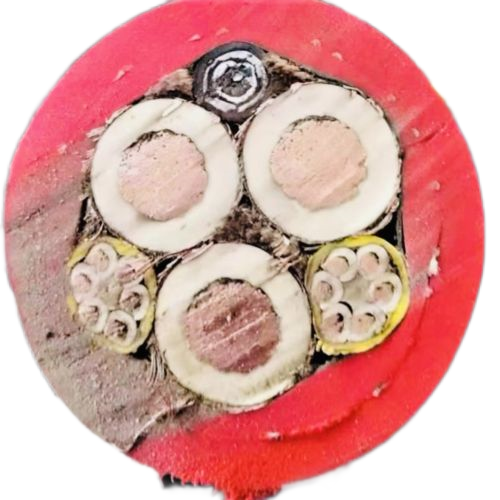 恒峰g22(国际)官网入口-天天有惊喜