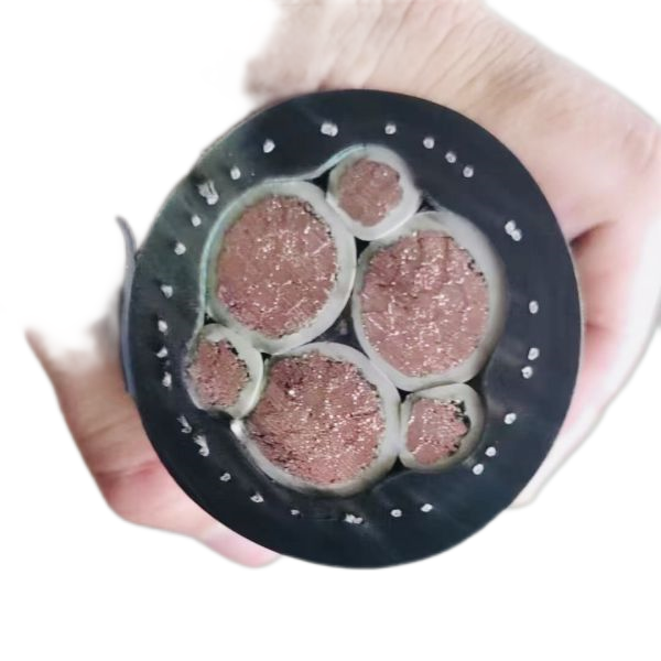 恒峰g22(国际)官网入口-天天有惊喜