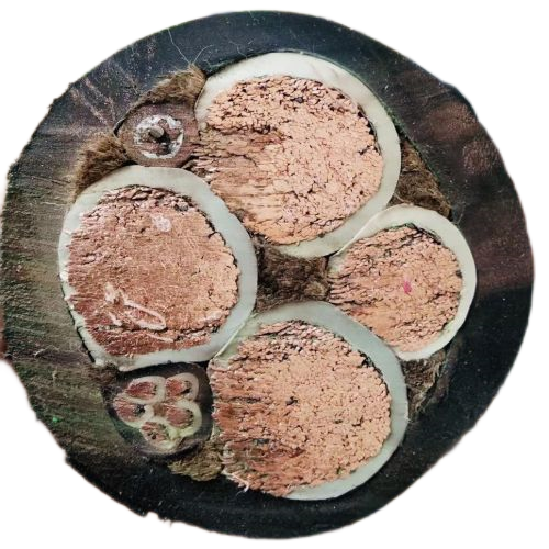 恒峰g22(国际)官网入口-天天有惊喜